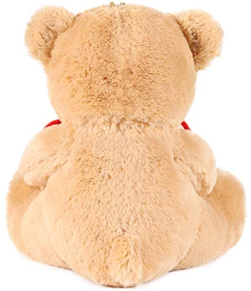 Brubaker Teddy Plüschbär mit Herz Rot Beige - Du bist das Beste was Mir je passiert ist - 25 cm - Teddybär Plüschteddy Kuscheltier Schmusetier - Braun Hellbraun - 3