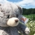 Uni-Toys - Teddybär, superweich (hellbraun) - 24 cm (Höhe) - Plüsch-Bär, Teddy - Plüschtier, Kuscheltier - 3